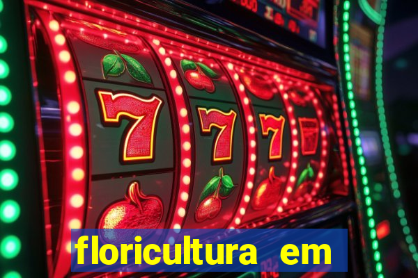 floricultura em franca sp